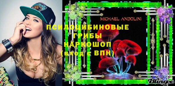 спайс Белокуриха