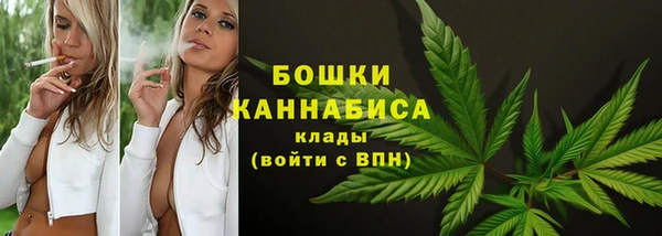 спайс Белокуриха