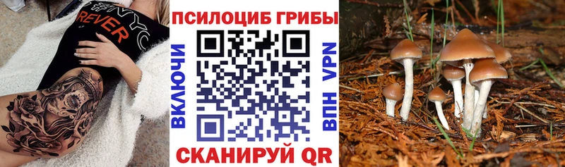 Галлюциногенные грибы мицелий  Цоци-Юрт 